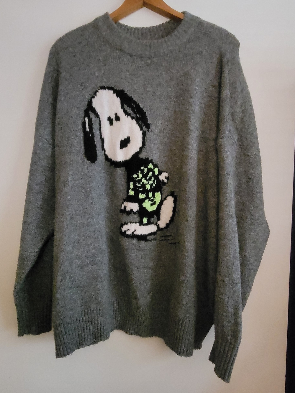 American Eagle Outfitters Gray Knit V-Neck Sweater